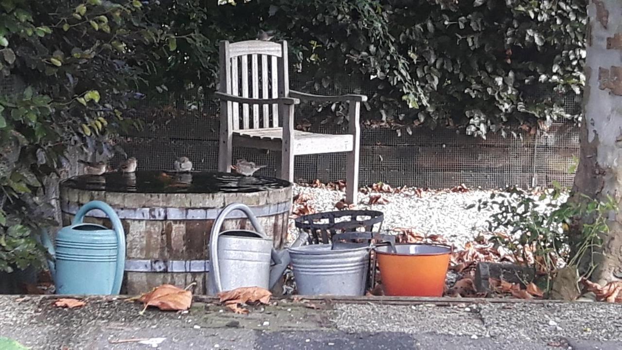 Pauwenstee Βίλα Stolwijk Εξωτερικό φωτογραφία